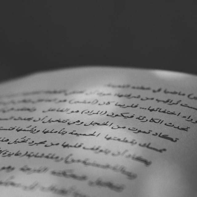 Language